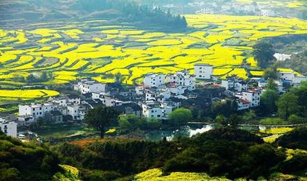 岭上三清婺源江岭三清山景德镇3日游看花登山小桥流水李坑徽州人家
