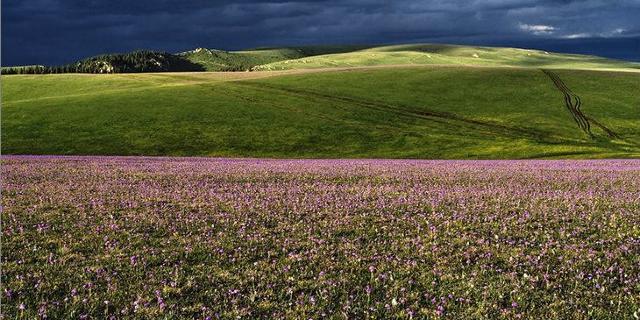 张家口五花草甸景区门票