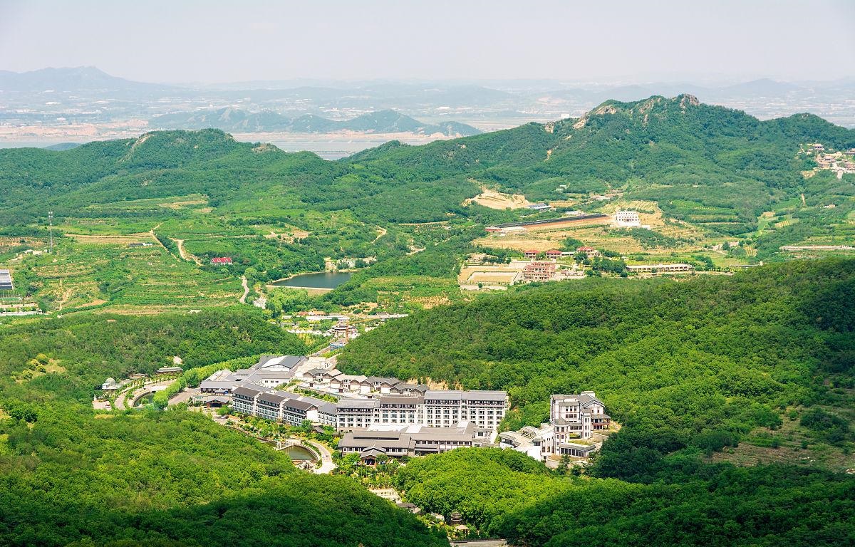 大连往返东沟芍药花海小黑山踏青一日游大连金州开发区多地出发包含