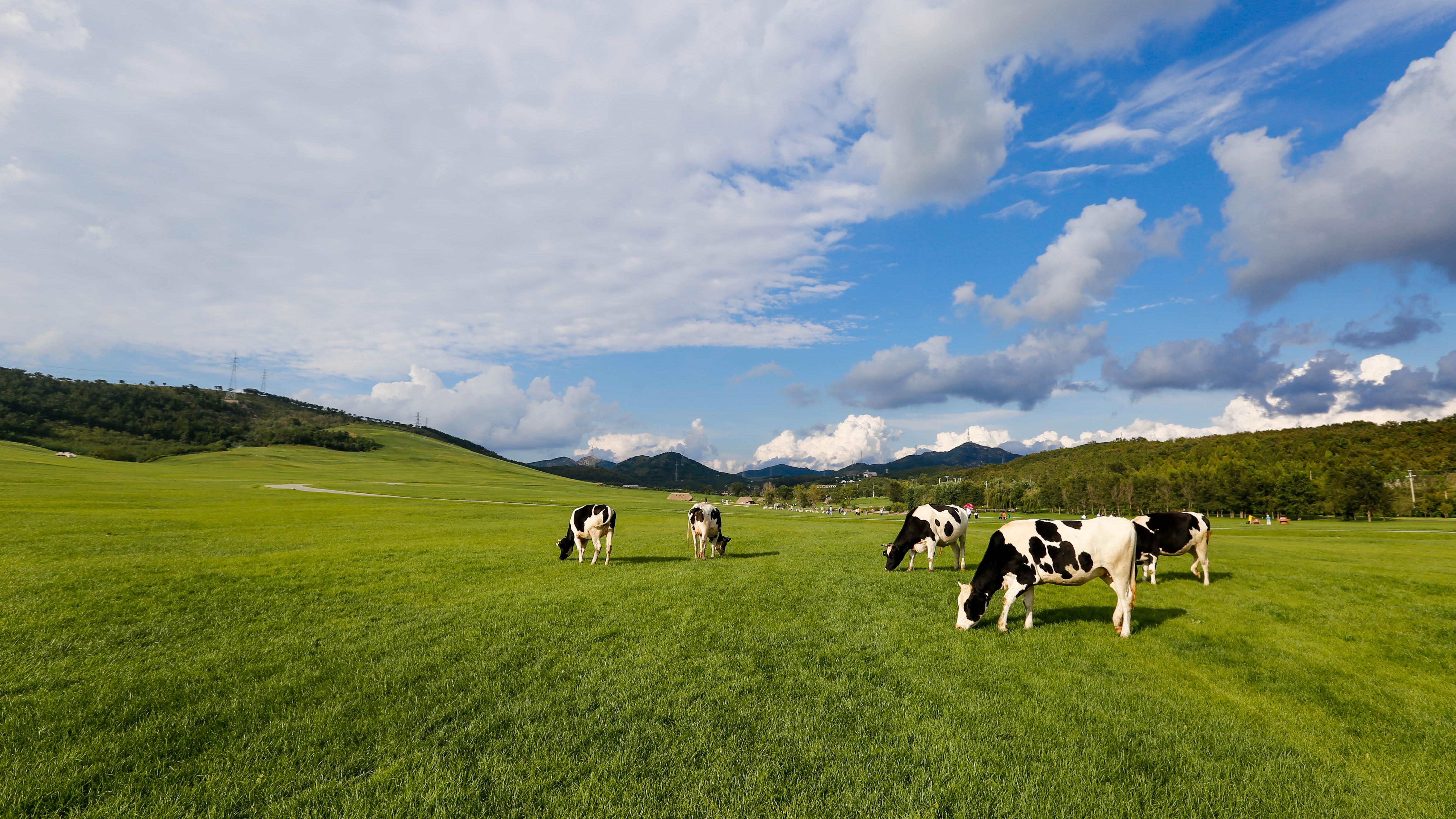 大连三寰牧场电子票,马蜂窝自由行 - 马蜂窝自由行