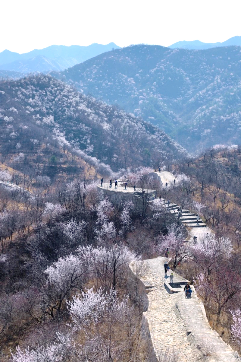 京郊延庆龙泉峪长城一日游万顷长城花海大云峡谷龙泉峪8公里徒步穿越