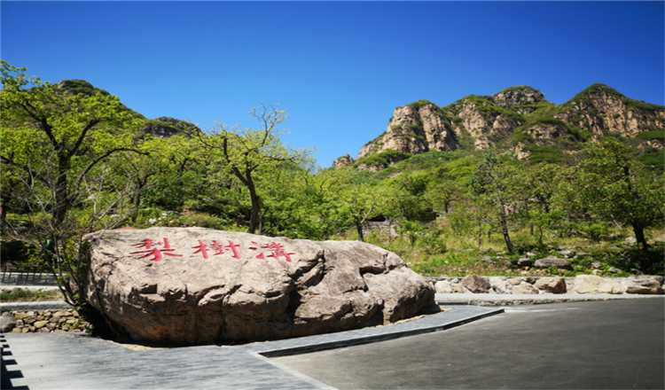 北京梨树沟小镇山地滑车平谷桃花一日游平谷桃花源赏桃花2022新型户外