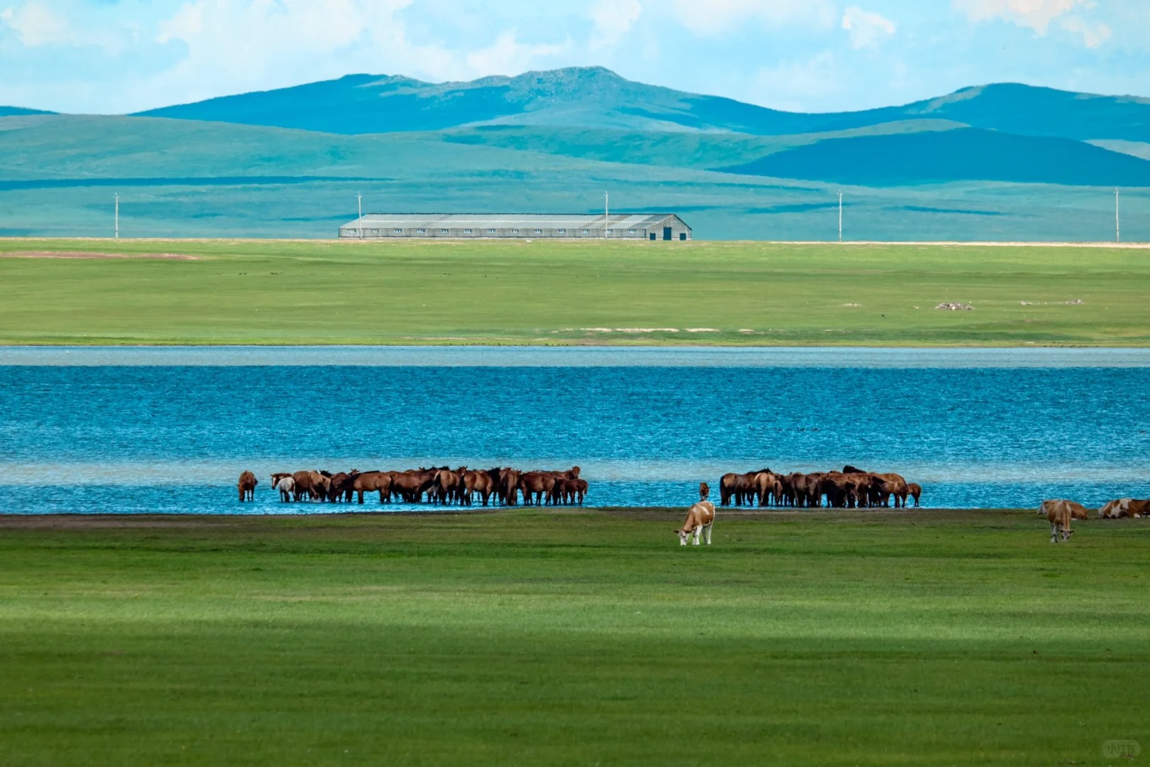 【畅游呼伦贝尔】-室韦-满归-北极村-根河-黑山头-满洲里8天7晚游