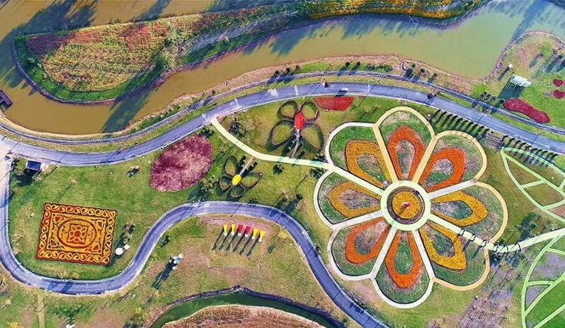 八卦洲陌上花渡门票