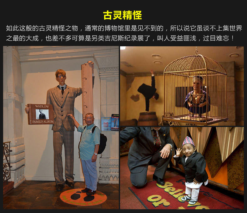 纽约奇趣博物馆电子门票营业至凌晨适合倒时差世界之大无奇不有