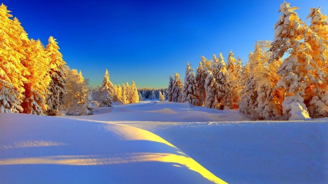 她的旅行 ·  粉雪长白5日游( 延吉-老里克湖雪山穿越-长白山北景区