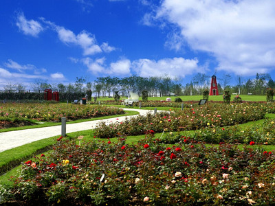 原香国际香草园景区门票