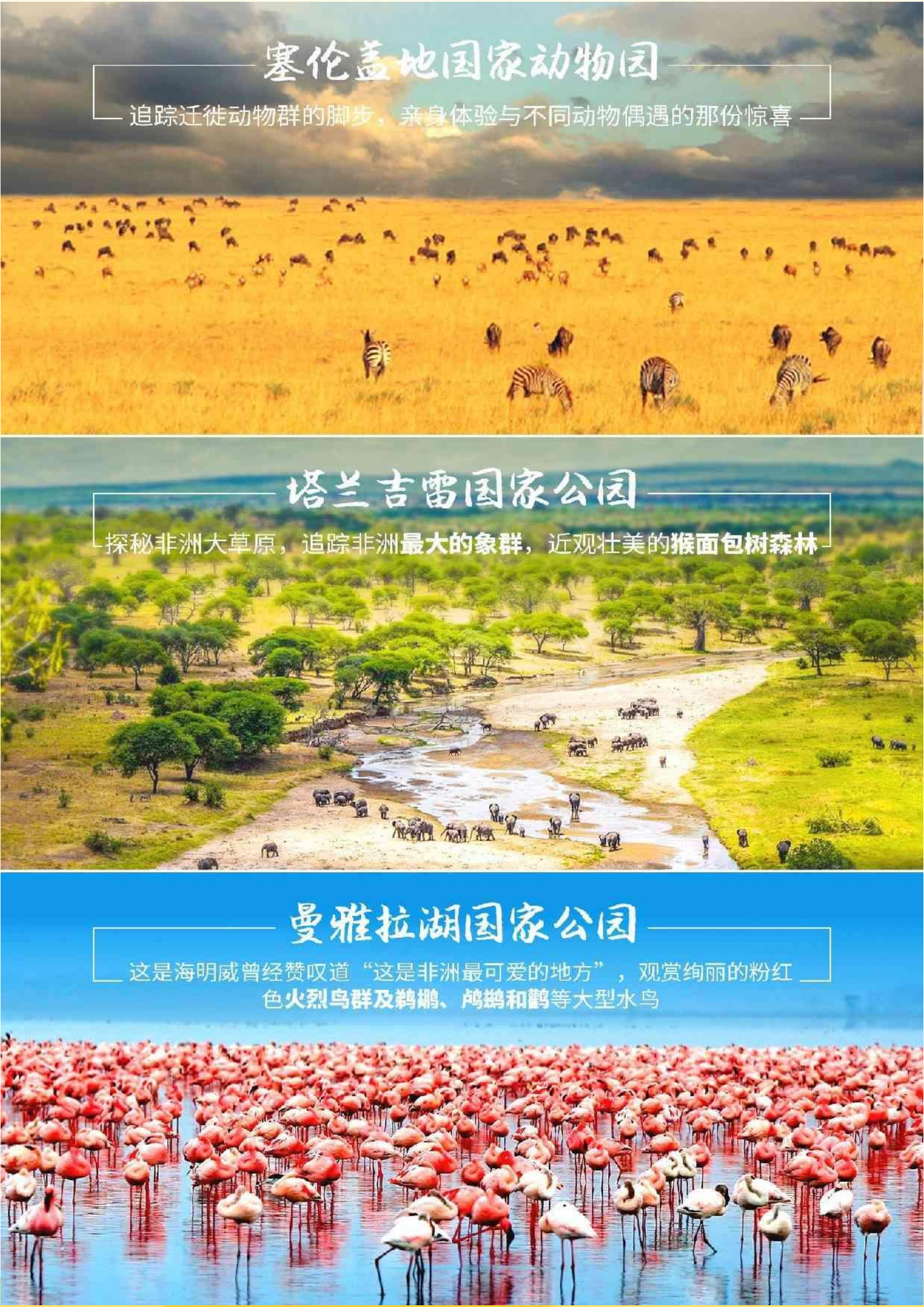 肯尼亚 坦桑尼亚10天野奢之旅(全程敞篷越野车 2进塞伦盖地国家公园