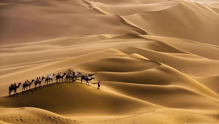 新疆南疆喀什达瓦昆沙漠一日游1人即发纯玩无购物感受沙漠风光大巴