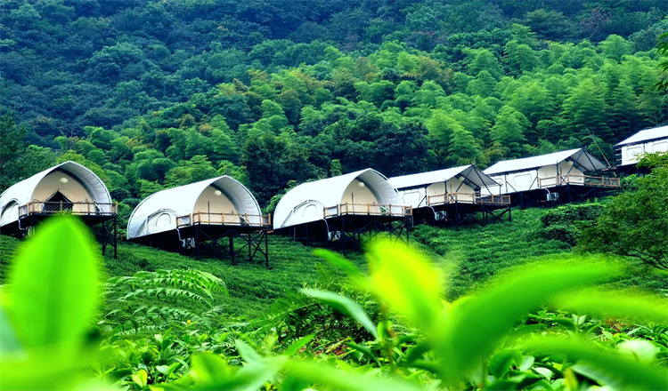 【暑期特惠74亲子互动】湖州 德清上渚山奇幻谷 境见茶野里野奢帐篷