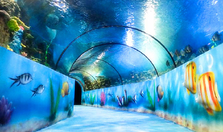 id:9418409店铺看各种海洋生物了解一些海洋知识产品介绍图文详情嘉兴