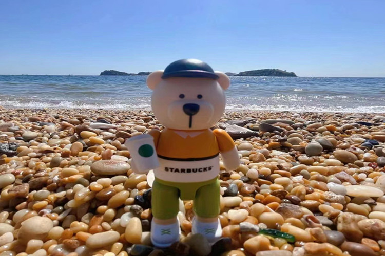 私家小团大连金石滩度假区旅顺口景区棒棰岛3天2晚赶海抓蟹海边捡贝壳