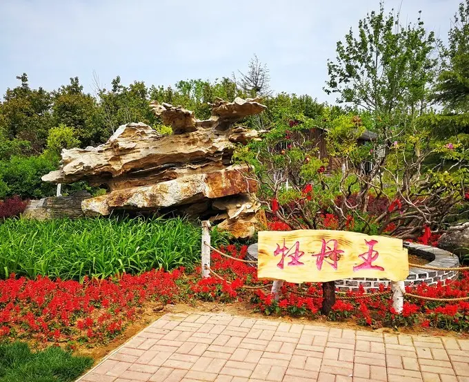 大连旅顺华酝牡丹园景区门票