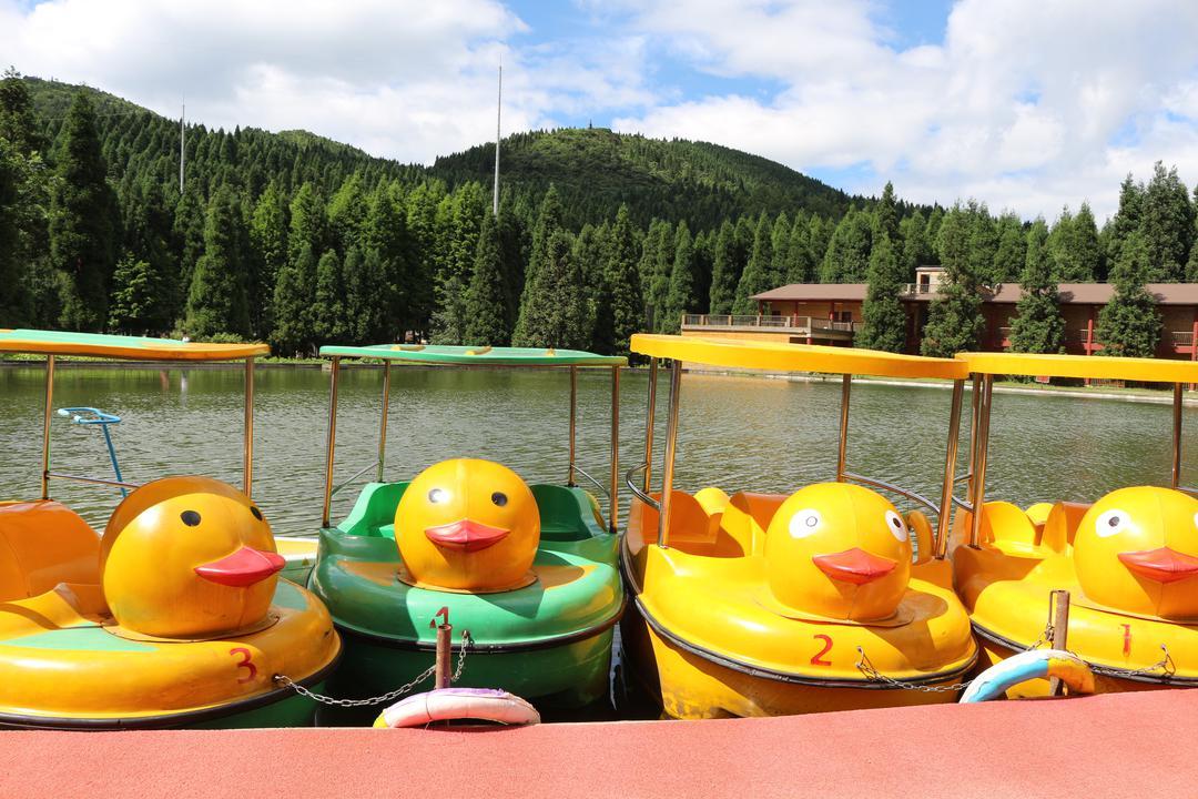 武陵山国家森林公园2天1晚入住云顶山庄