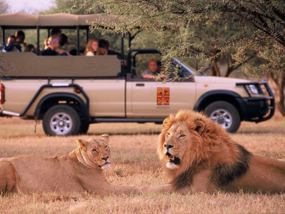 全程越野车马赛马拉国家动物园东非大裂谷安博塞利保护区烤羊腿肉餐