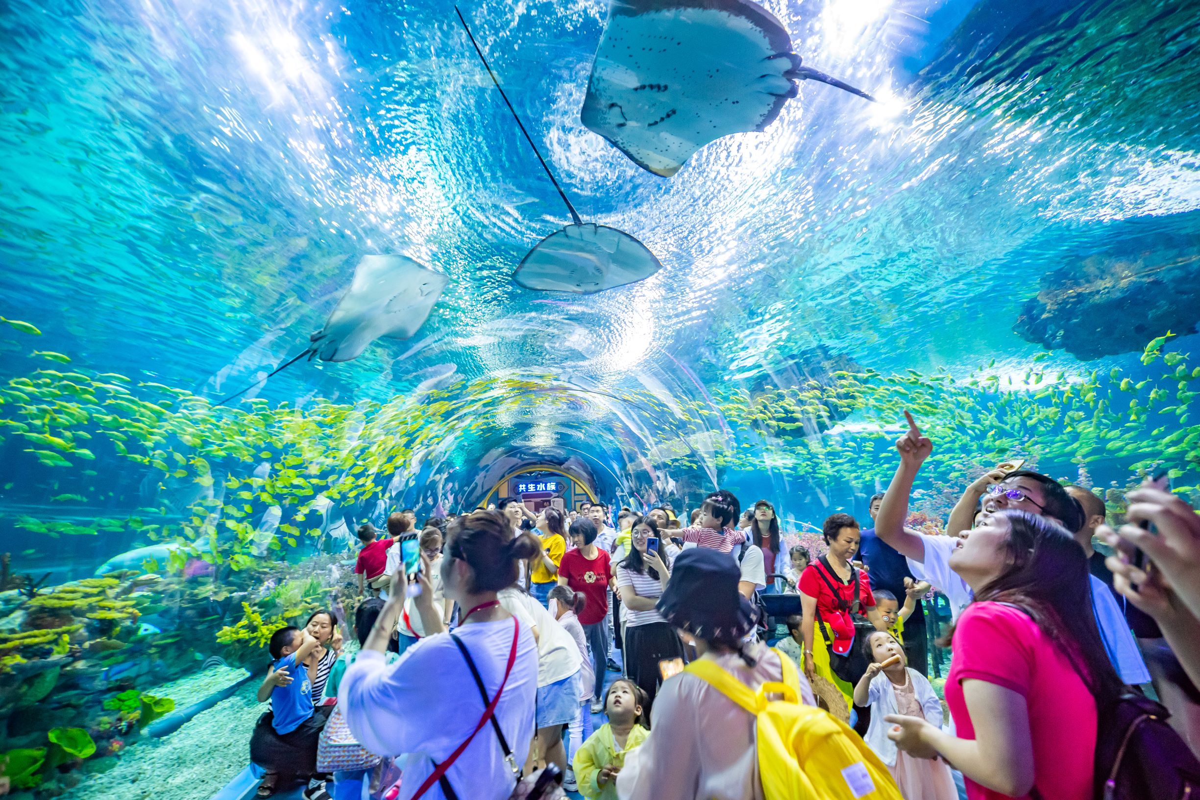 沙沙哗啦海洋馆是太原一家乃至整个华北地区第1购物中心内的水族馆
