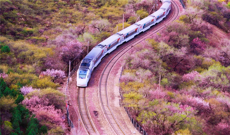 北京居庸关花海栈道 居庸关长城一日游(开往春天的列车 枝花正盛 春光