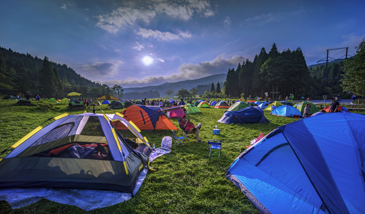 重庆武陵山国家森林公园一日电子门票刷身份证入园
