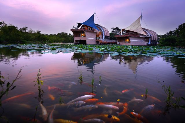 深圳海上田园门票大型滨海生态文化旅游住宿娱乐一体采摘瓜果体验打渔