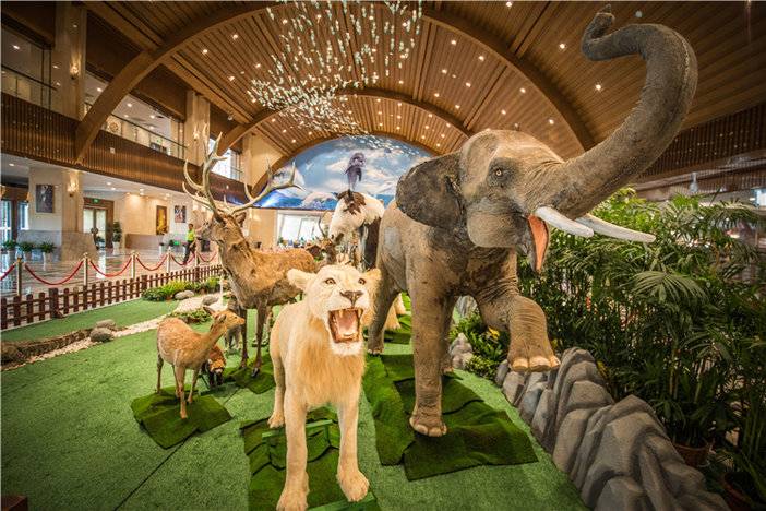 海洋萌宠主题长兴龙之梦欢乐世界大酒店2天1晚住宿套餐含龙之梦动物