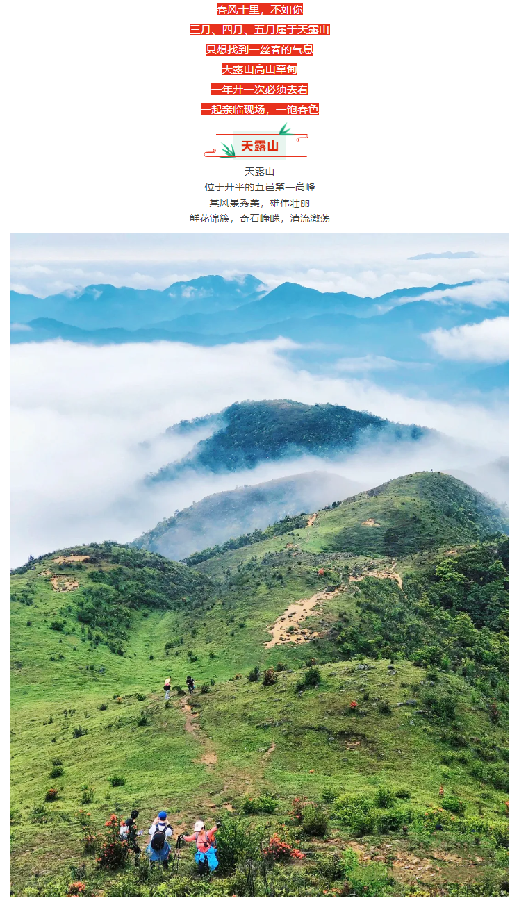 周四-六-日出发～【高山杜鹃·天露山一日游】 天露山万亩高山杜鹃惊