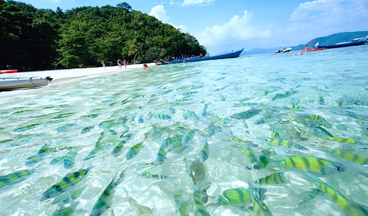 泰国普吉岛珊瑚岛半日游下午场三大海滩拼车接送普吉岛半日游普吉岛