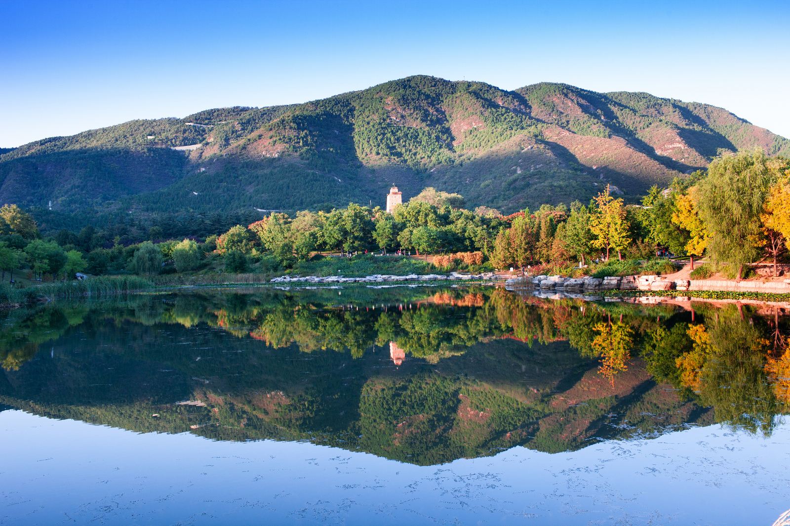北京植物园套票门票国家植物园门票自然美景上万种植物亲子科普秋日