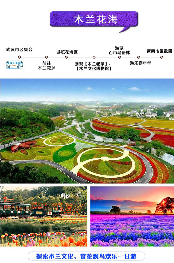 武汉出发木兰花乡一日游木兰花海景区木兰花乡阳光大草坪木兰花乡玻璃