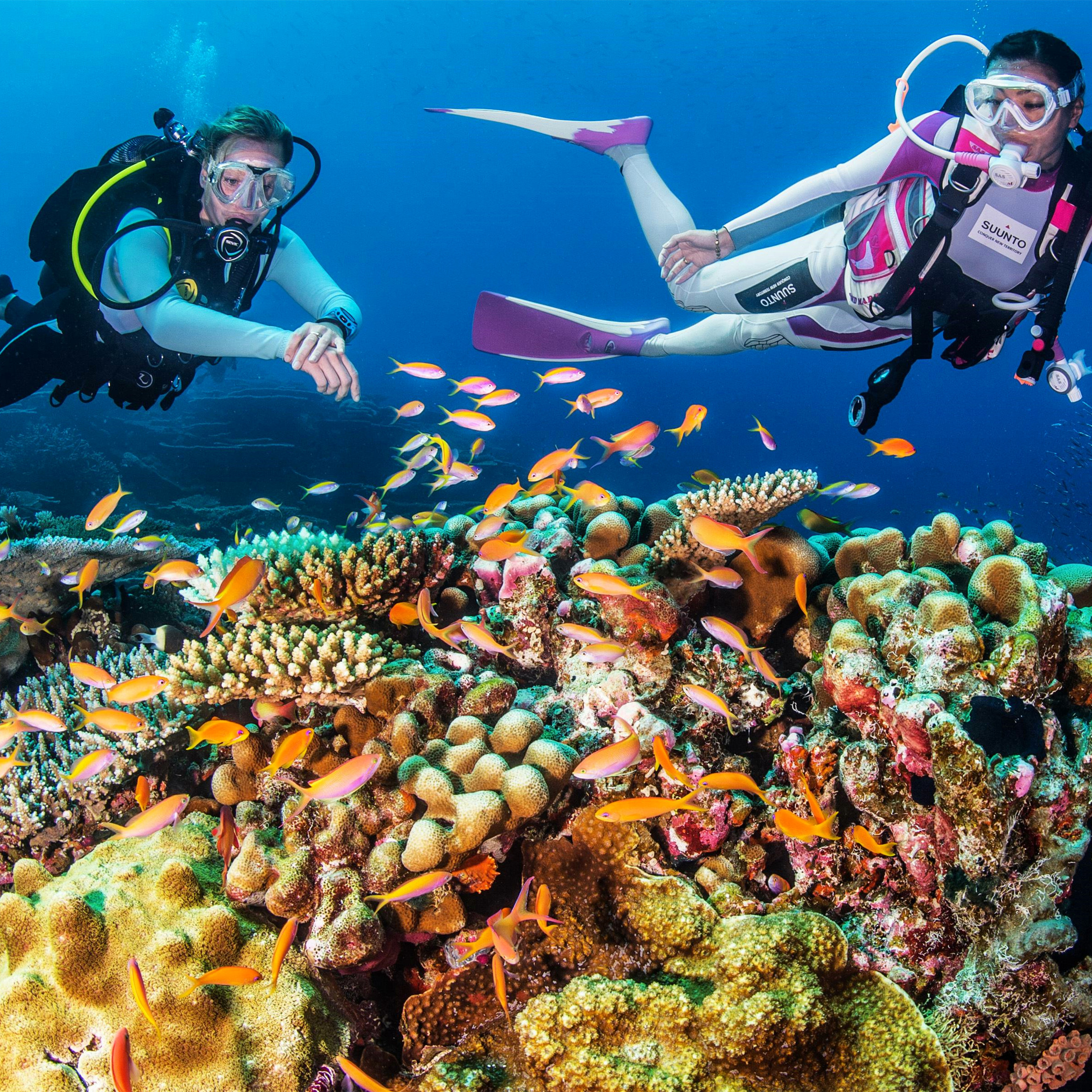 普吉岛·斯米兰岛/皇帝岛/皮皮岛/国王沉船专业潜水一日游(ow深潜