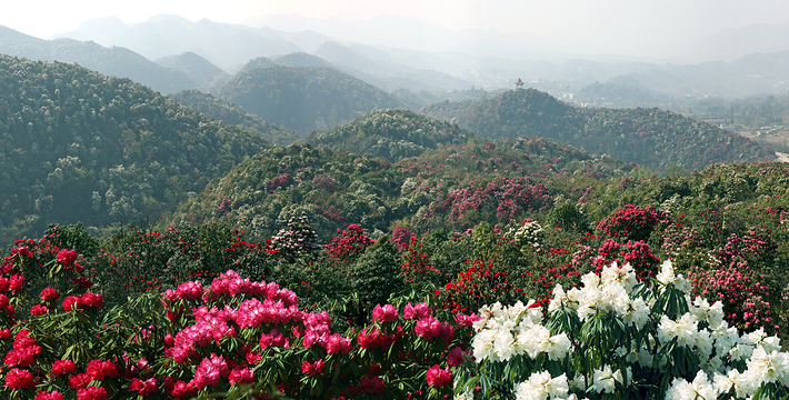 中餐后前往【普底景区】,途经民族活动广场,普底景区的高点——数花峰