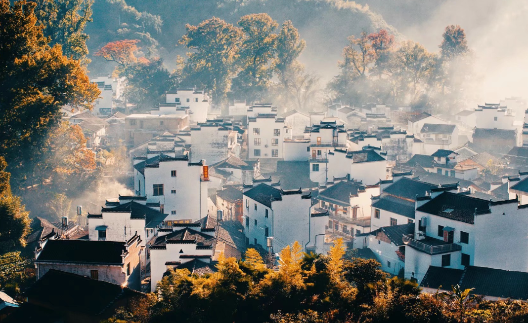婺源旅游婺源北线纯玩一日游思溪延村卧龙谷彩虹桥严田纯玩无购物上门