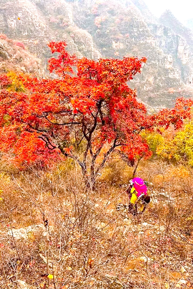 北京出发河北忘忧谷徒步一日游驴友喜爱的户外线路金家庄忘忧谷10公里