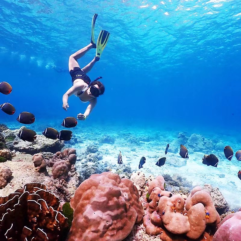 普吉岛·斯米兰岛/bon岛专业潜水2日游(wow持证潜水 深潜 夜潜 接送