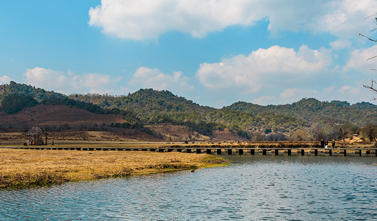 桃源水乡·盈江湿地公园 诗蜜娃底一日游(专属bbq/策马奔腾/浓郁民族