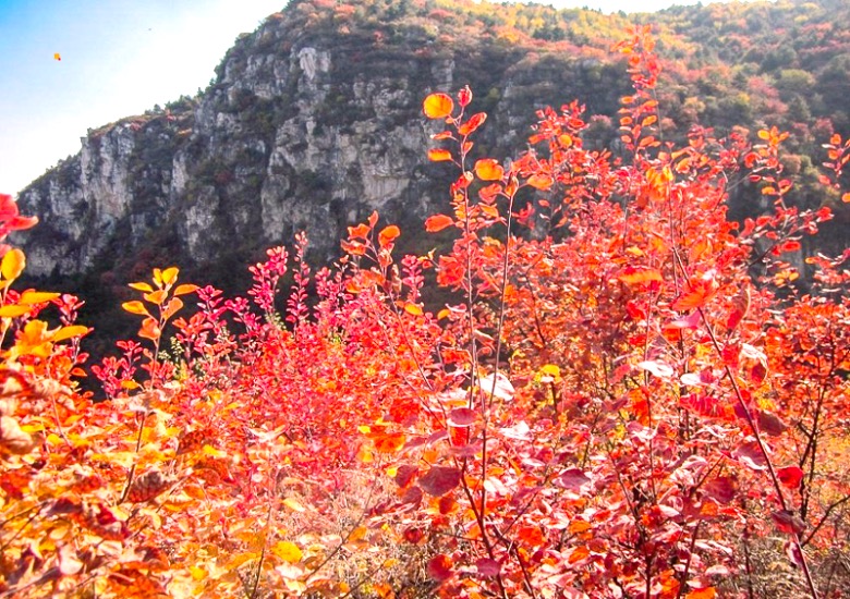 北京出发河北忘忧谷徒步一日游驴友喜爱的户外线路金家庄忘忧谷10公里