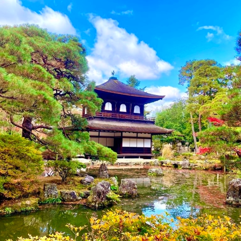日本京都金阁寺 银阁寺 清水寺99巴士半日游(含中/英/韩语音导览)