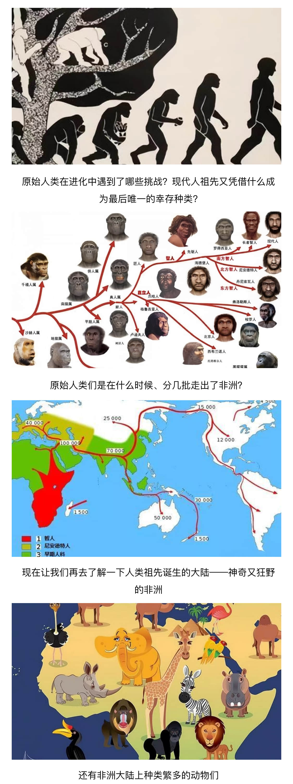 人类进化史·非洲气候及地理·东非动物大