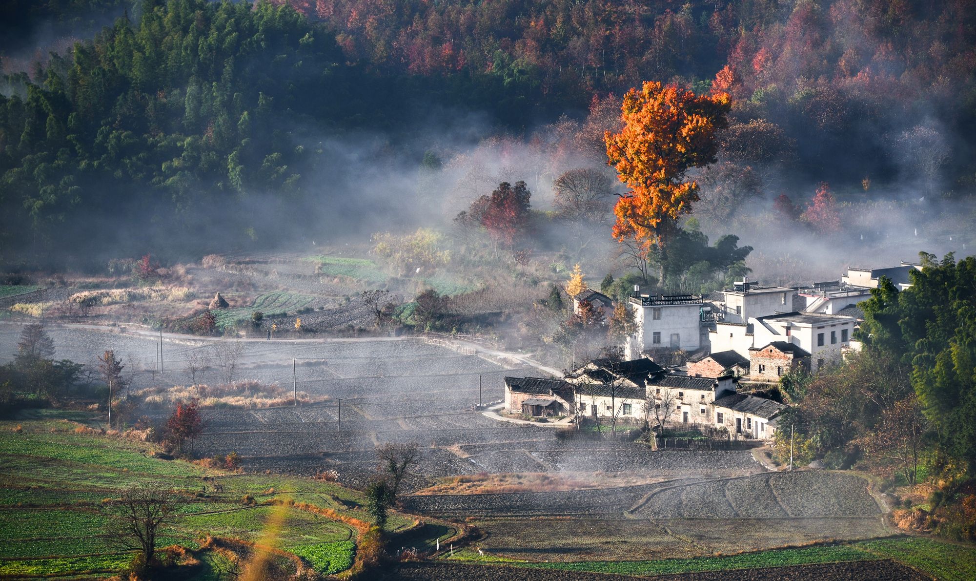 位于黟县桃花源著名旅游景点——宏村到木坑竹海景点途中,是黟县小