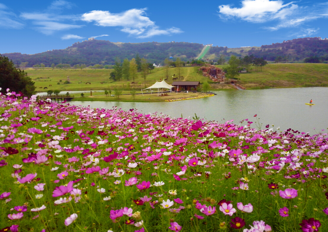 属"木兰八景"之一,是武汉地区以草原风情为主题的景区