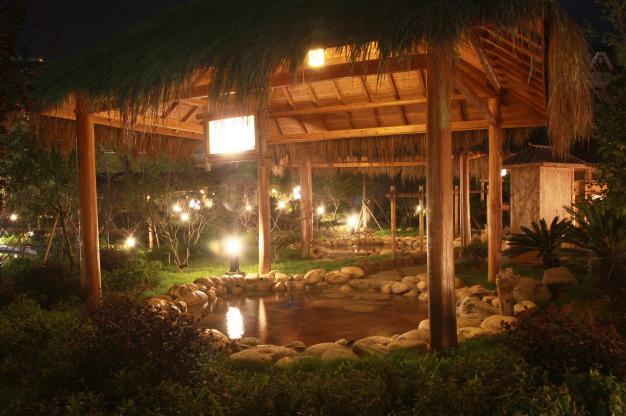 庐山上汤温泉电子票