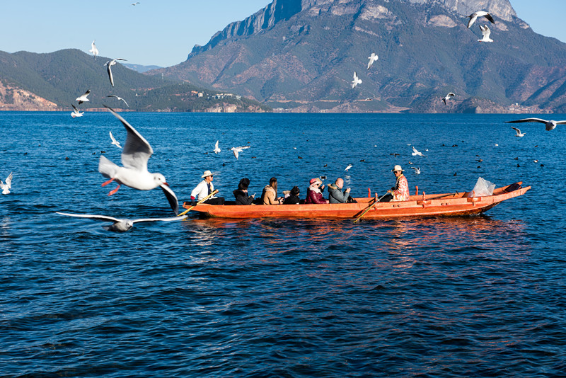 泸沽湖当地特色体验猪槽船体验