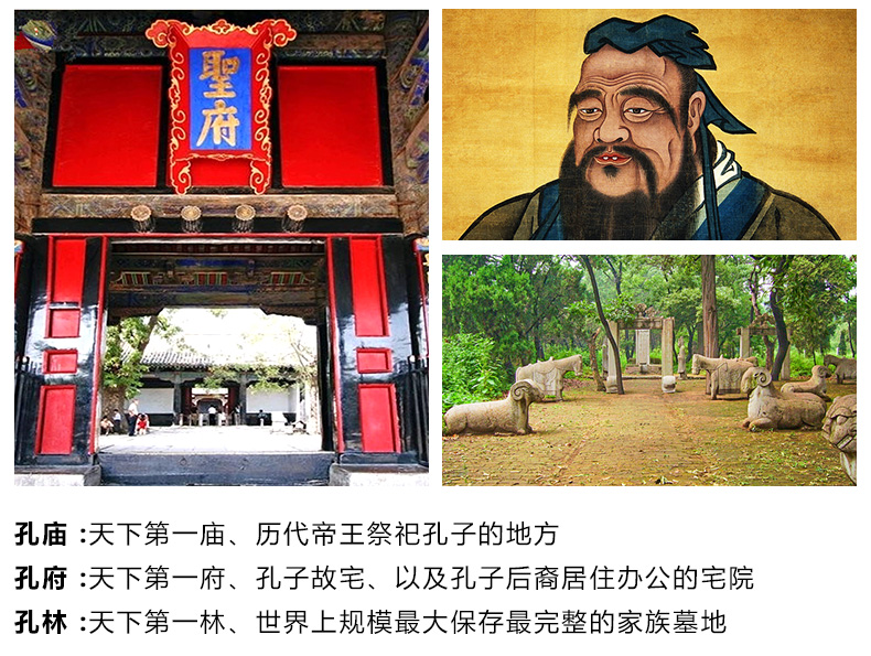 家庭亲子游曲阜孔府孔庙孔林泰山风景区济南3日游亲子团全新升级舒适