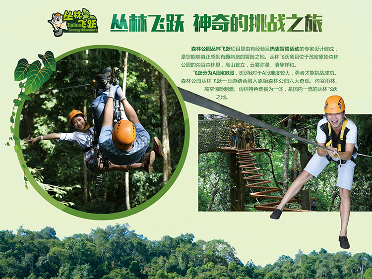 西双版纳原始森林公园丛林飞跃体验
