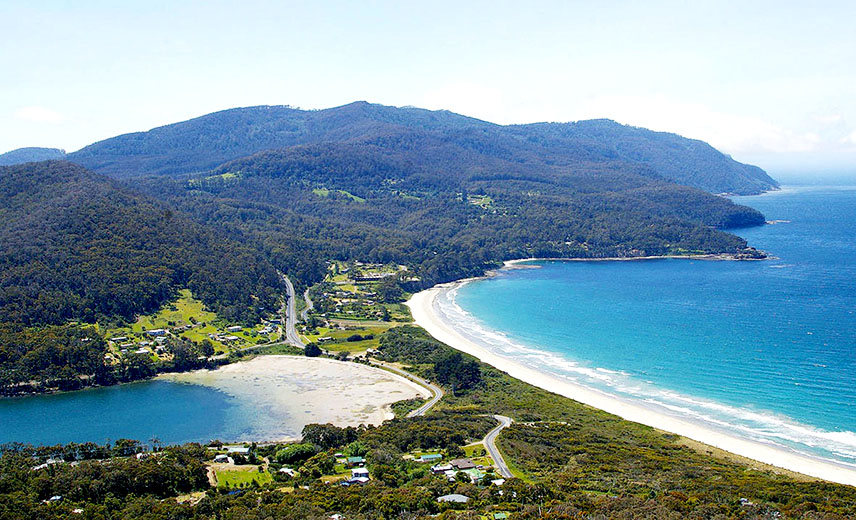 这个迷人的小恶魔塔斯马尼亚塔斯曼半岛亚瑟港塔州恶魔动物园门票