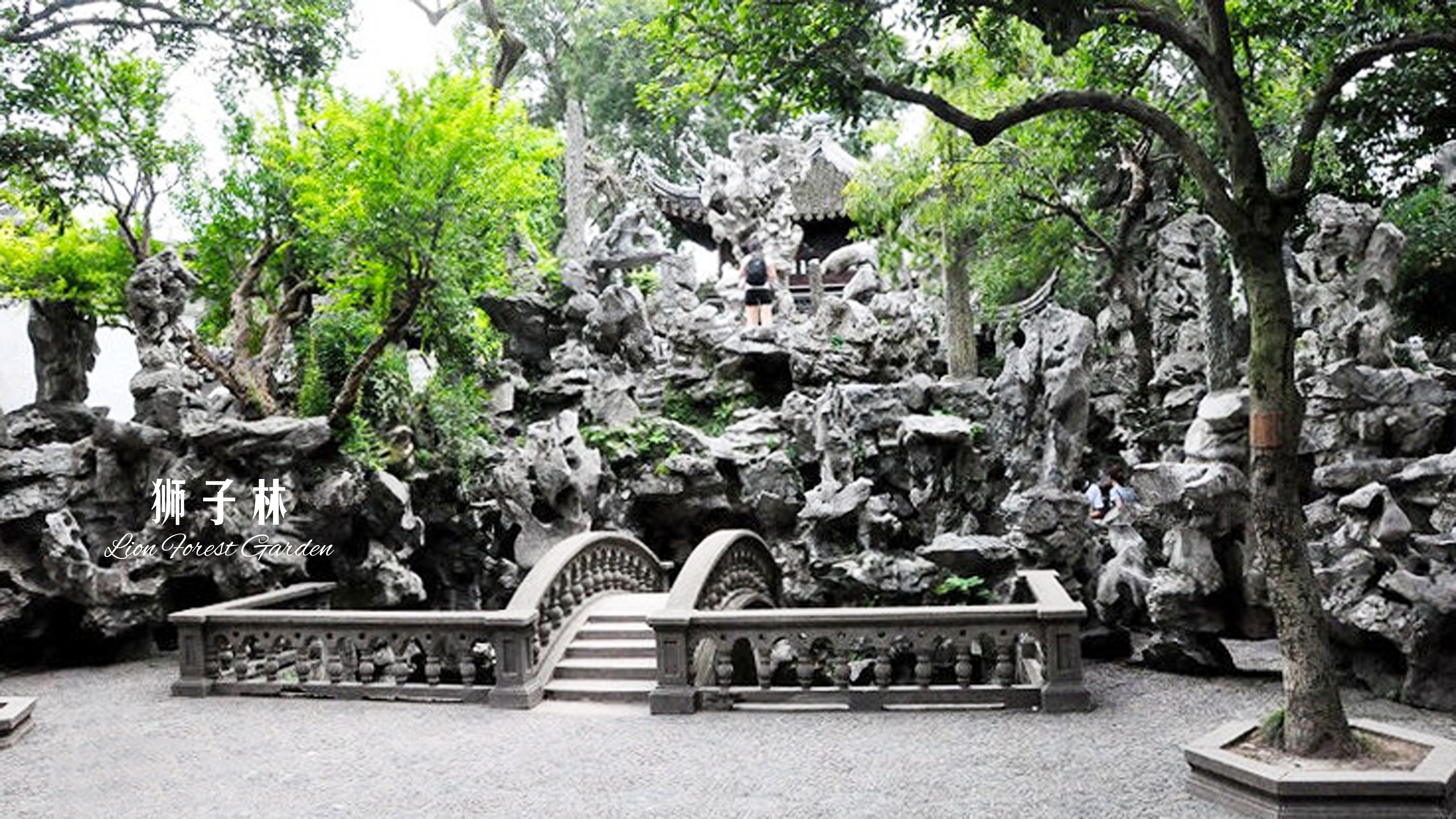 苏州古典园林狮子林景区门票(刷身份证入园)