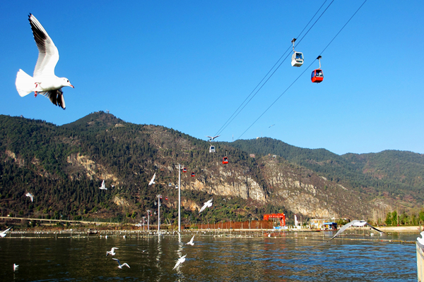 昆明滇池索道票 往返单程可选择 马蜂窝自由行 马蜂窝自由行