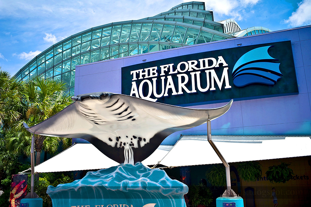 美国佛州水族馆门票thefloridaaquarium