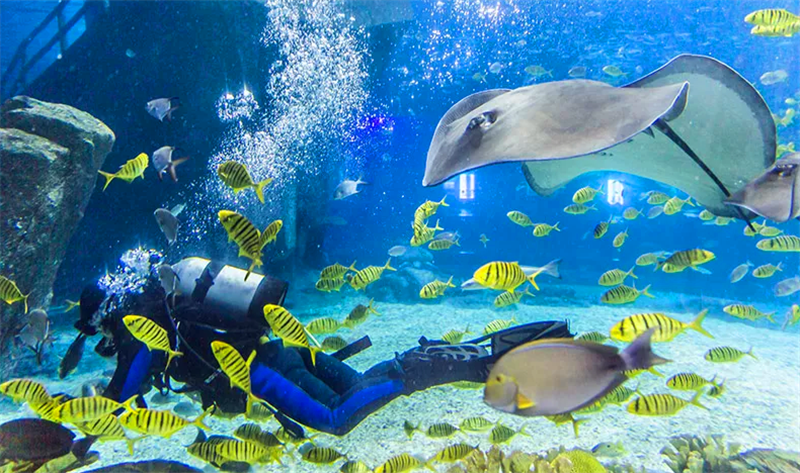 福州,宁德出发—从五四路上琴亭高架桥—直行过桂湖收费站—往宁德