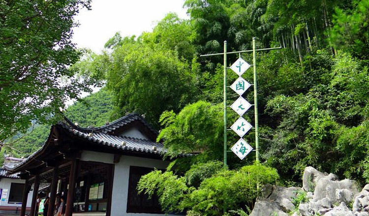 浙江湖州安吉中国大竹海景区门票电子票 ( 卧虎藏龙拍摄地)