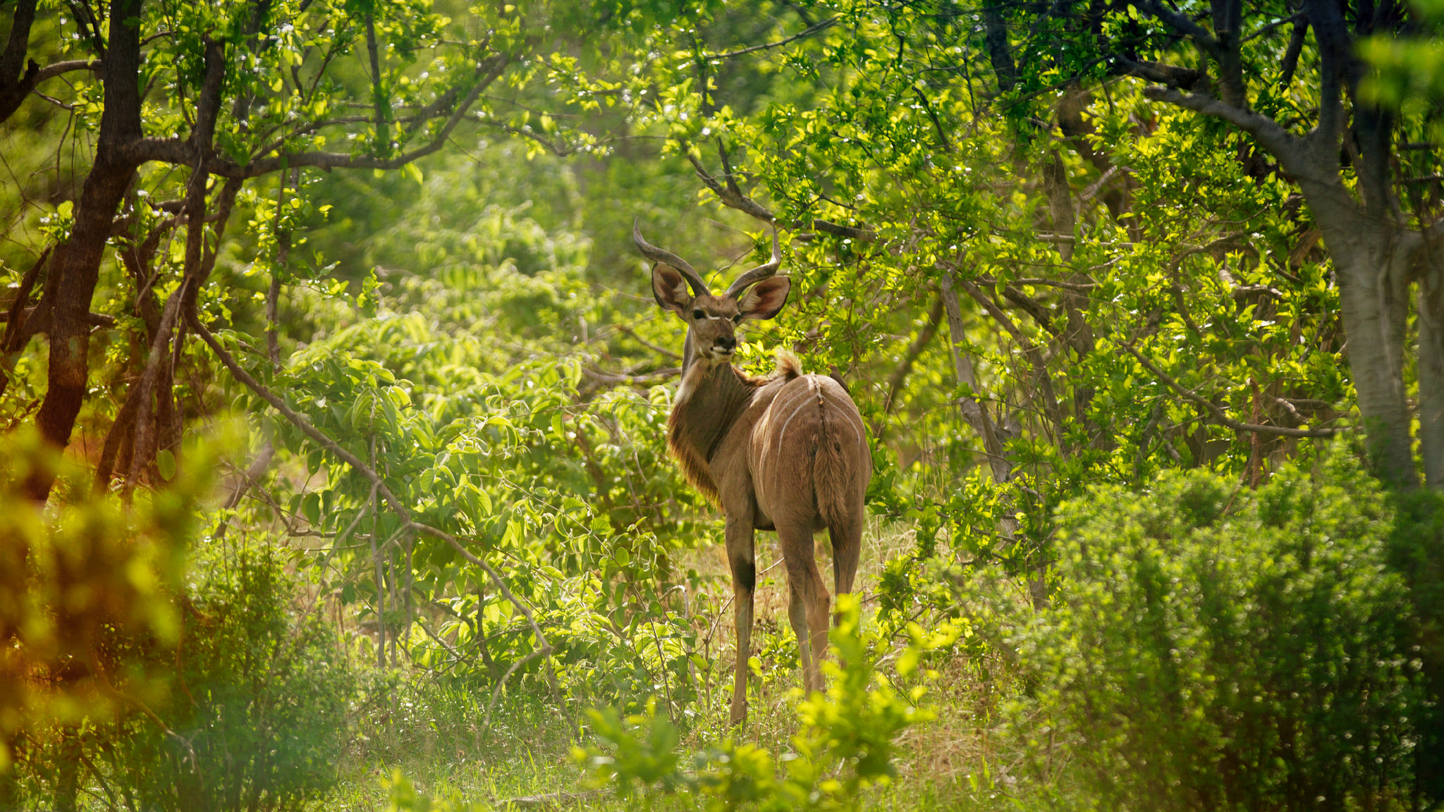 8 ii 小白兔 长焦镜头/单反镜头出租/相机租赁,马蜂窝自由行 - 马蜂窝